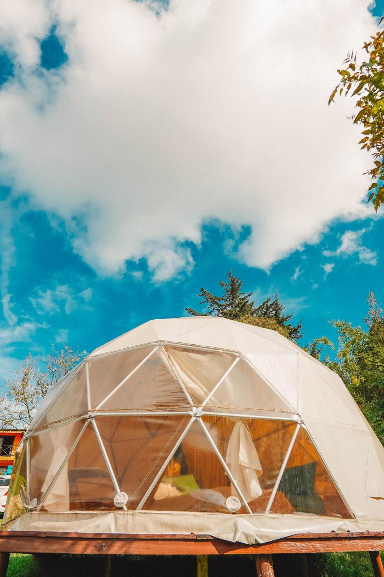 Alma De Campo Glamping - Laguna De Суэска Экстерьер фото